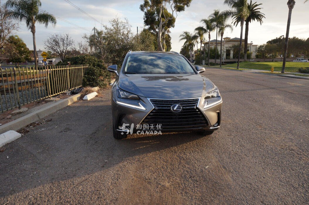 2020 Lexus NX 300 view 6