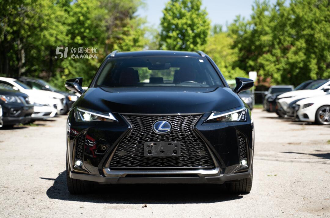 [集市好物]2019 Lexus UX