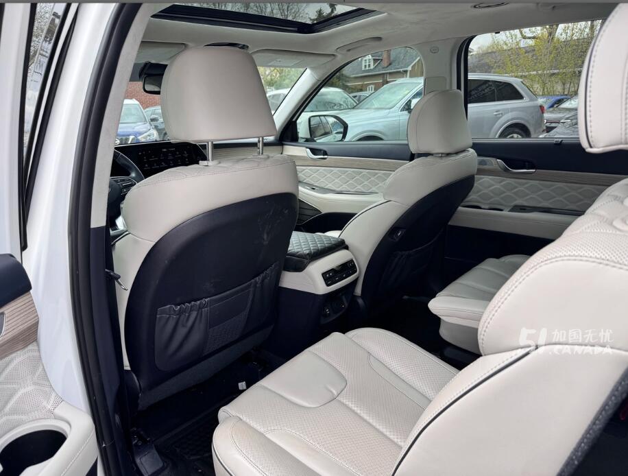 2022 Hyundai Palisade view 10