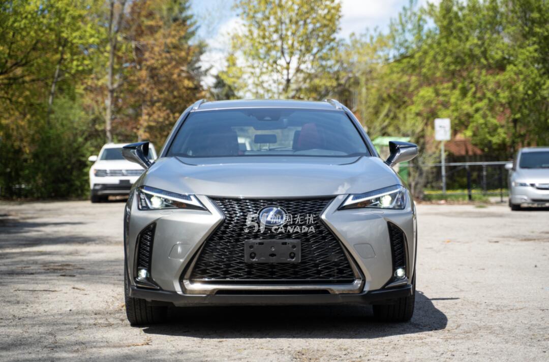 2020 Lexus UX view 1