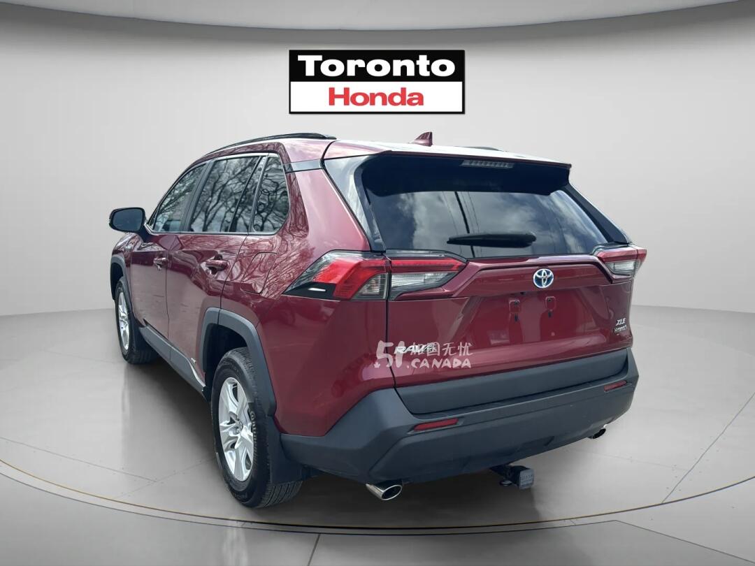 2019 Toyota RAV 4 view 3
