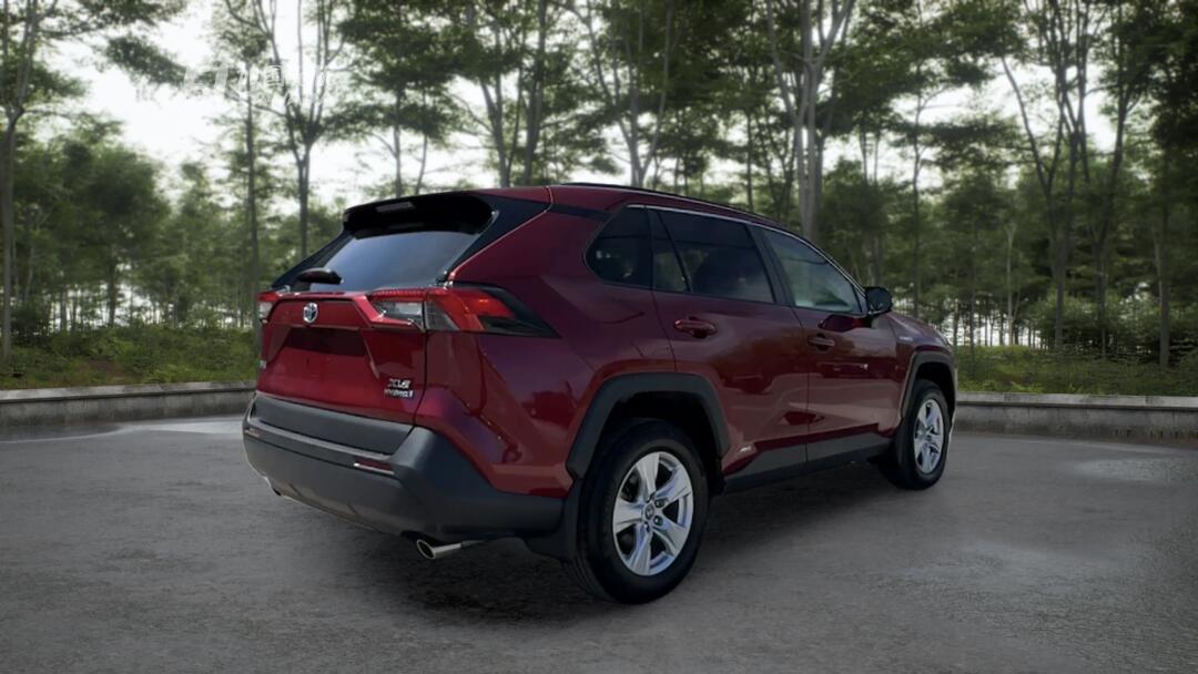 2020 Toyota RAV 4 view 3
