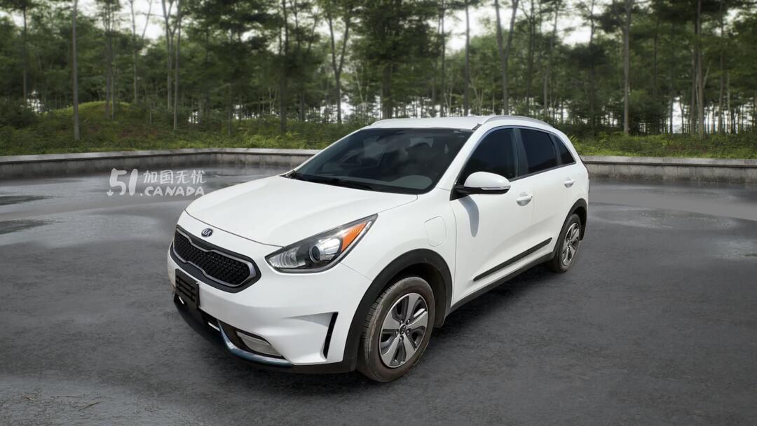 2019 Kia Niro view 1