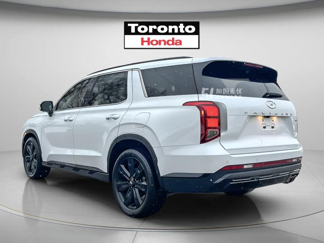 2024 Hyundai Palisade view 3