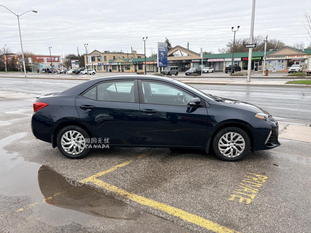 2019 Toyota Corolla view 4