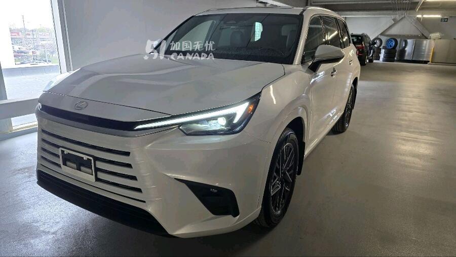 2025 Lexus Other view 1