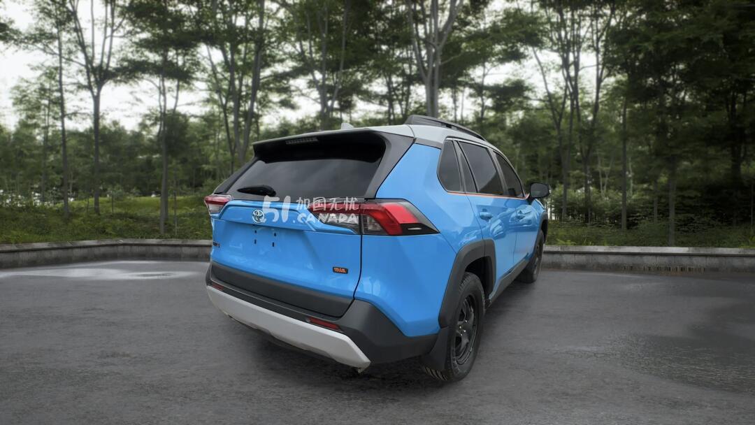 2019 Toyota RAV 4 view 3