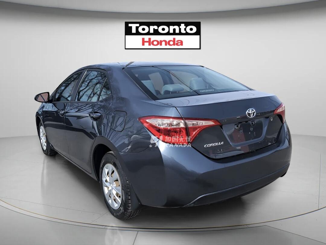 2019 Toyota Corolla view 4