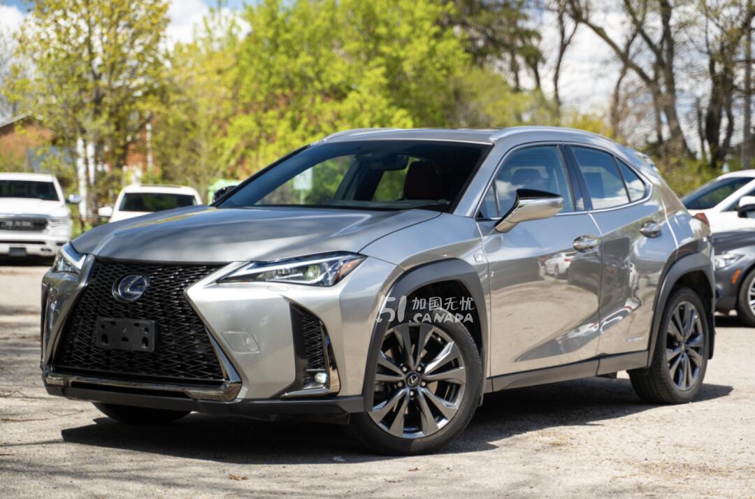 2020 Lexus UX view 4