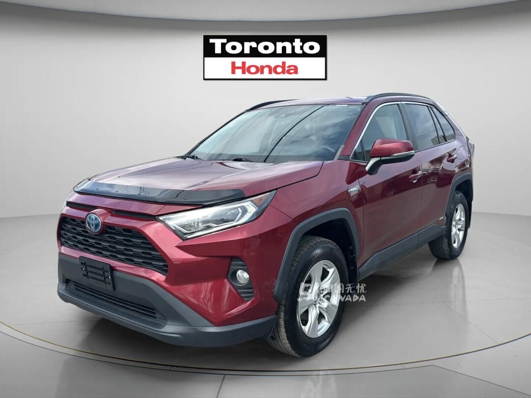 2019 Toyota RAV 4