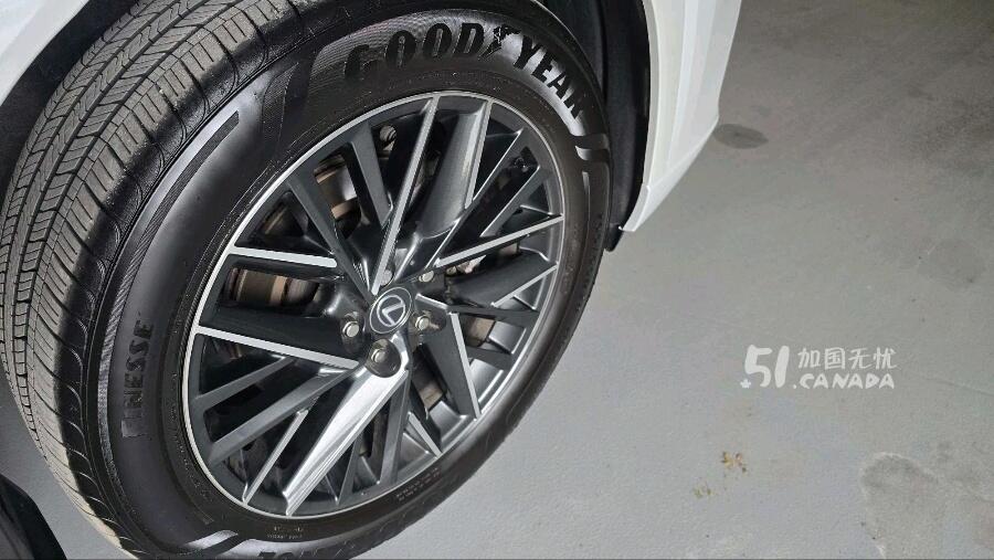 2025 Lexus Other view 4