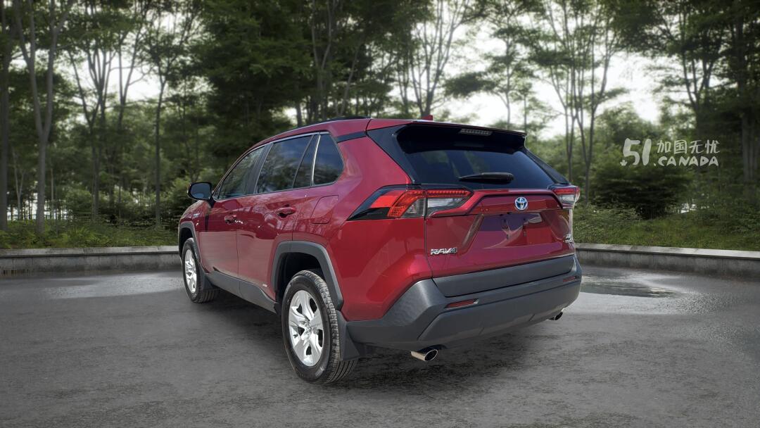 2020 Toyota RAV 4 view 4