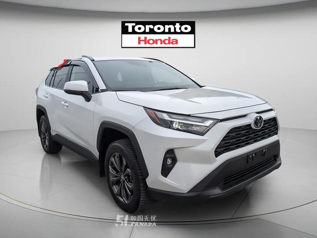 2025 Toyota RAV 4 view 2
