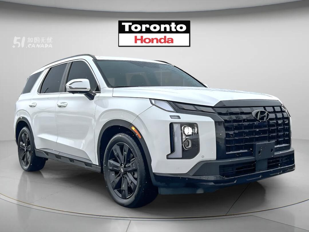 2024 Hyundai Palisade view 2