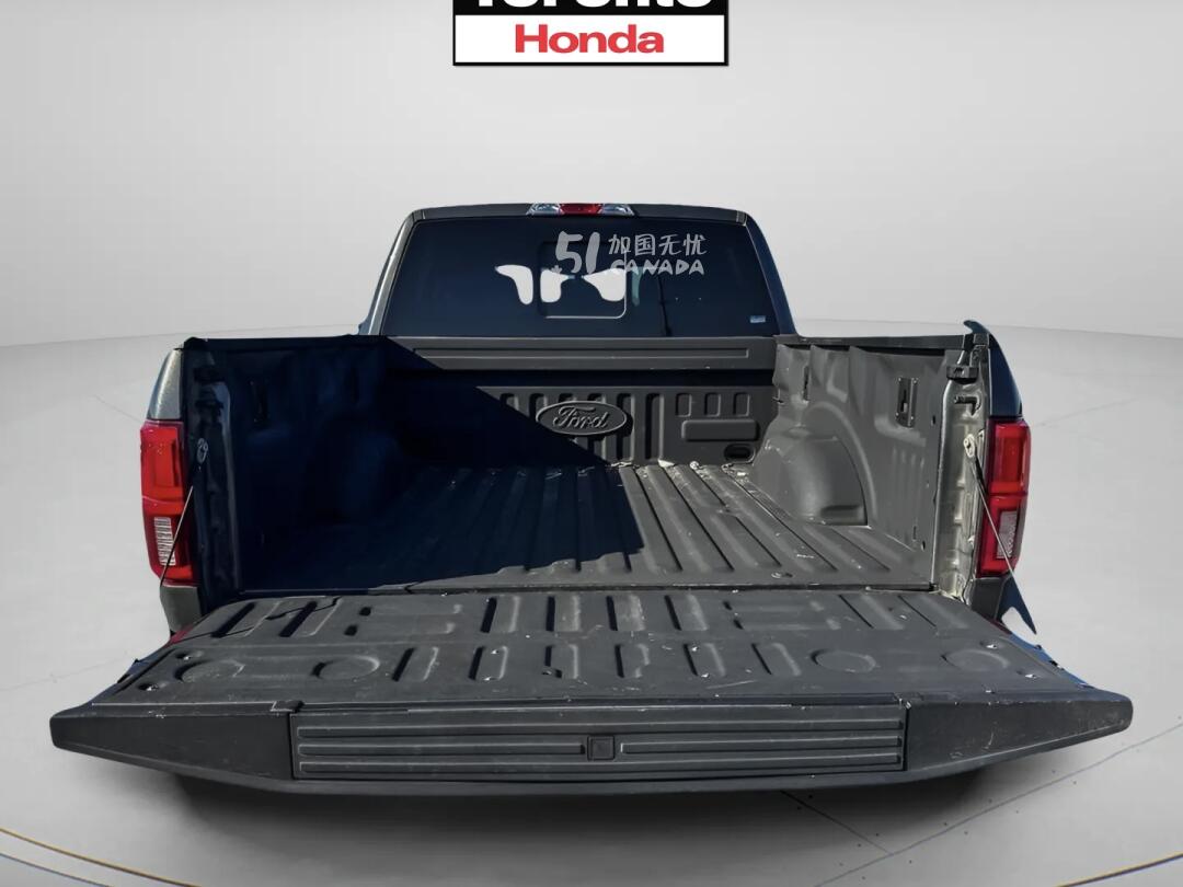 2020 Ford F 150 view 10