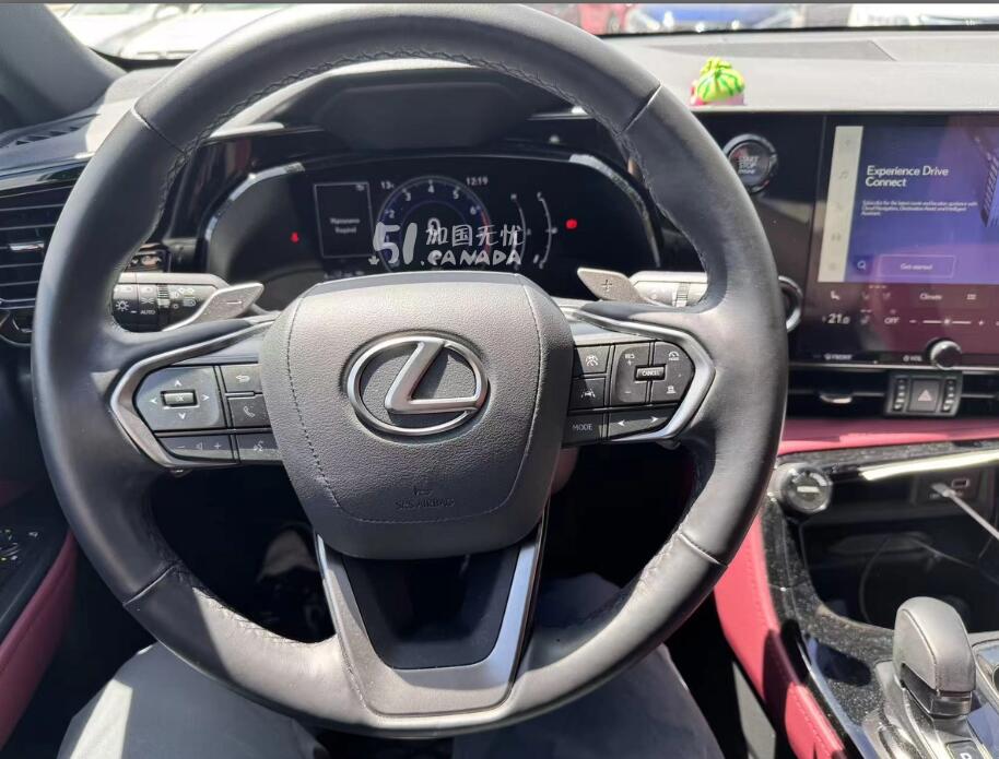 2025 Lexus Other view 2