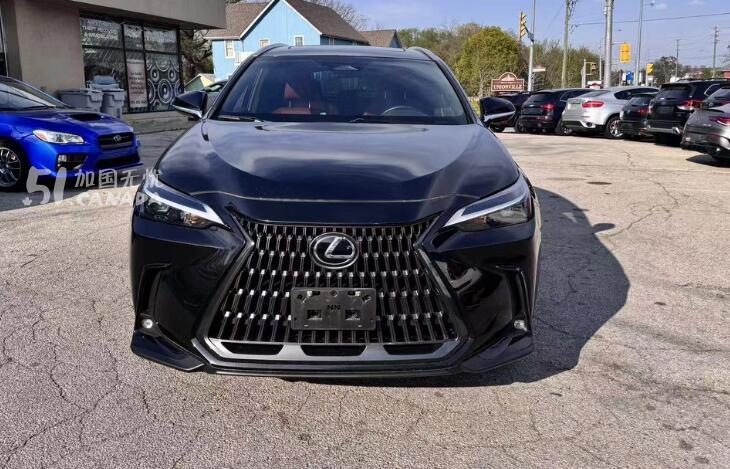 2025 Lexus Other view 5