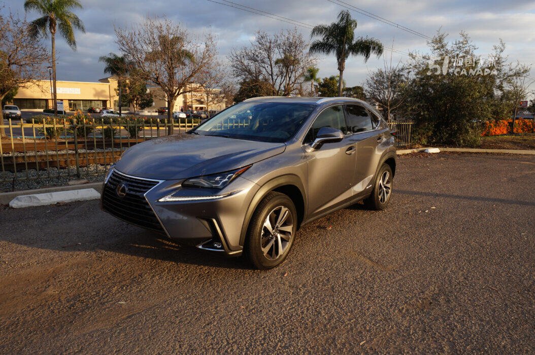 2020 Lexus NX 300 view 5