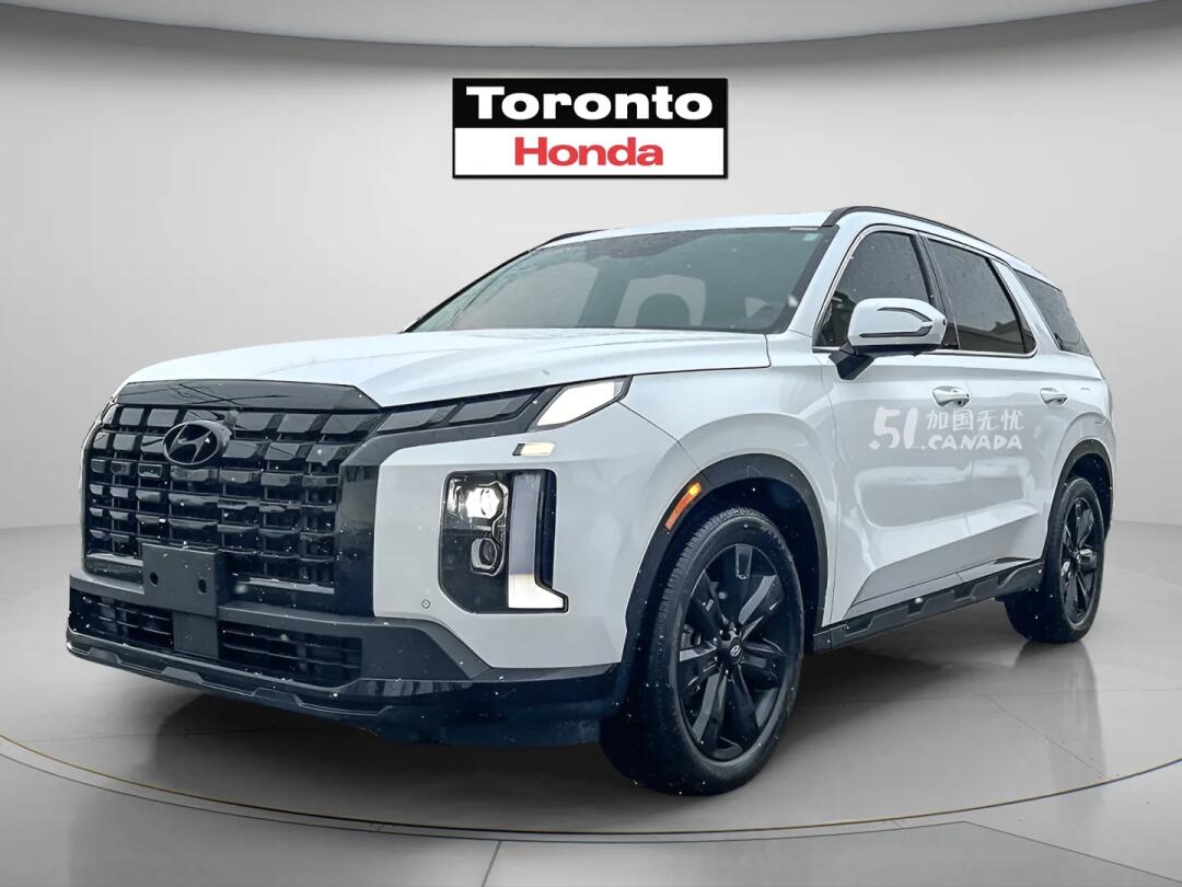 2024 Hyundai Palisade view 1