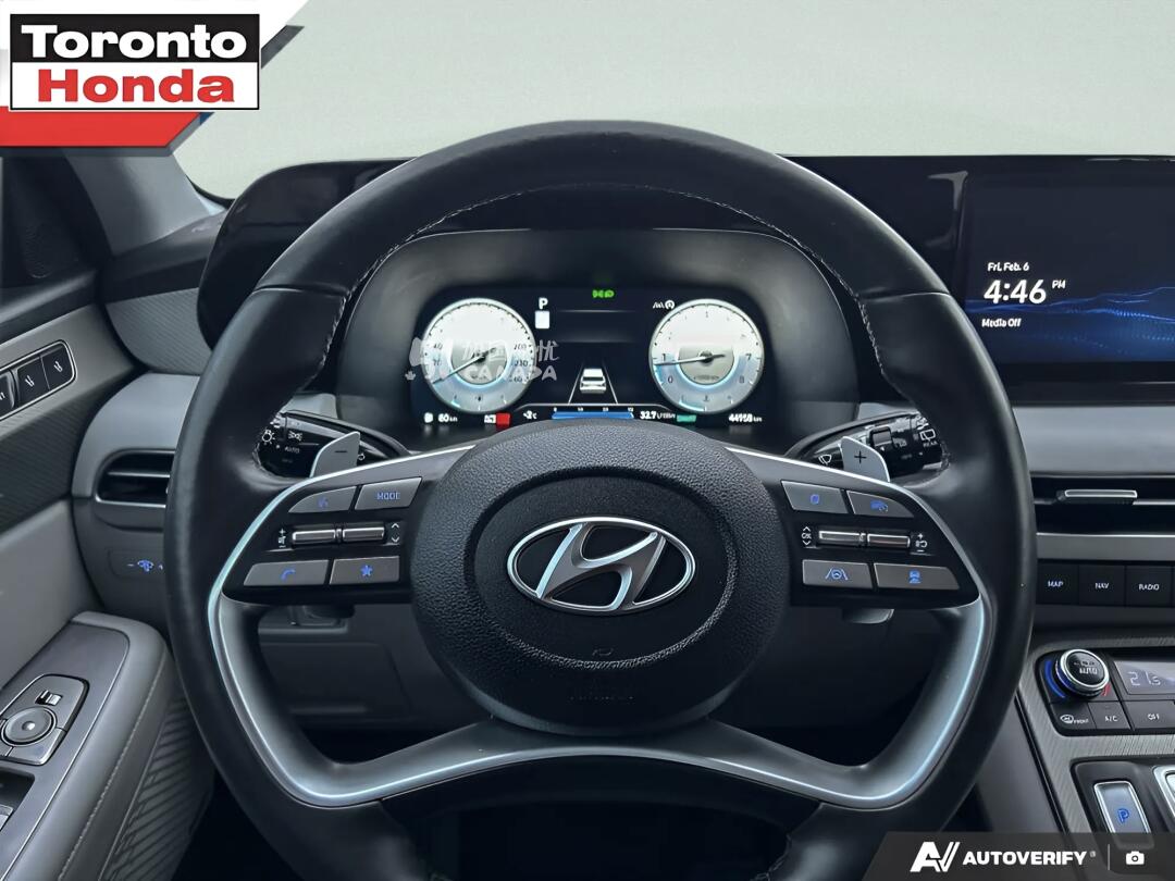 2024 Hyundai Palisade view 6