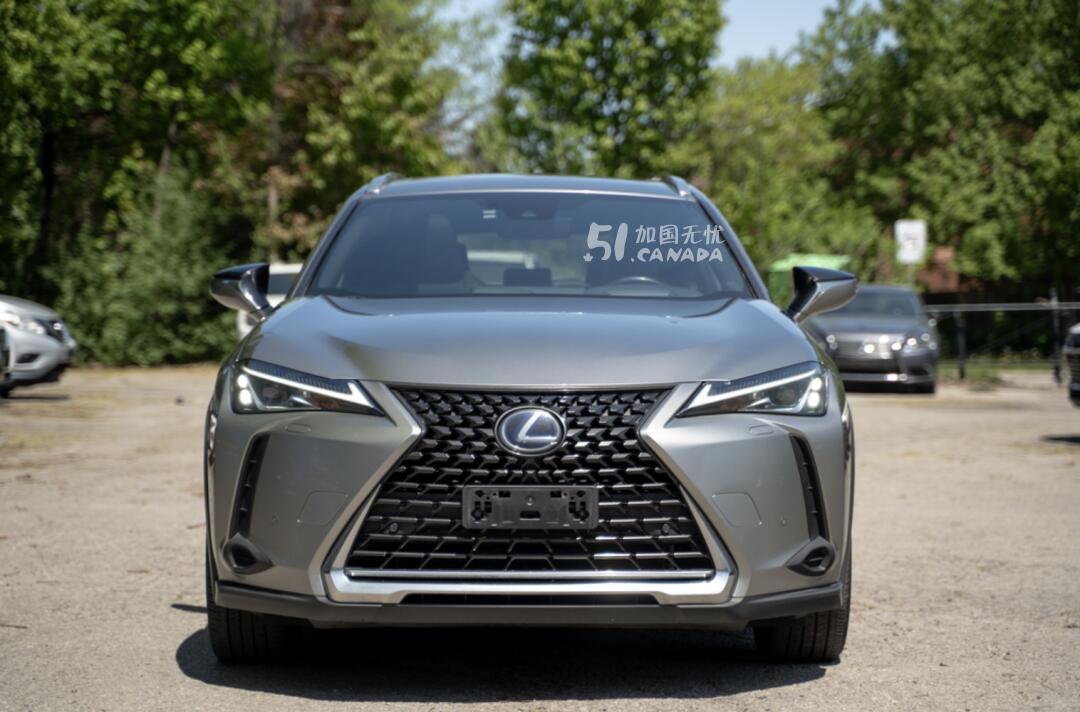 2019 Lexus UX view 1