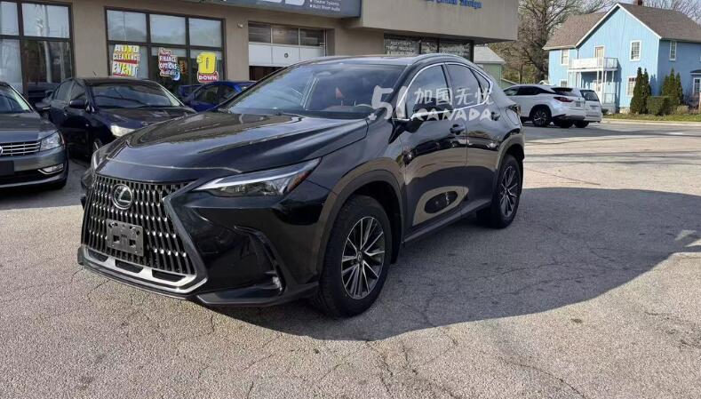 2025 Lexus Other view 1