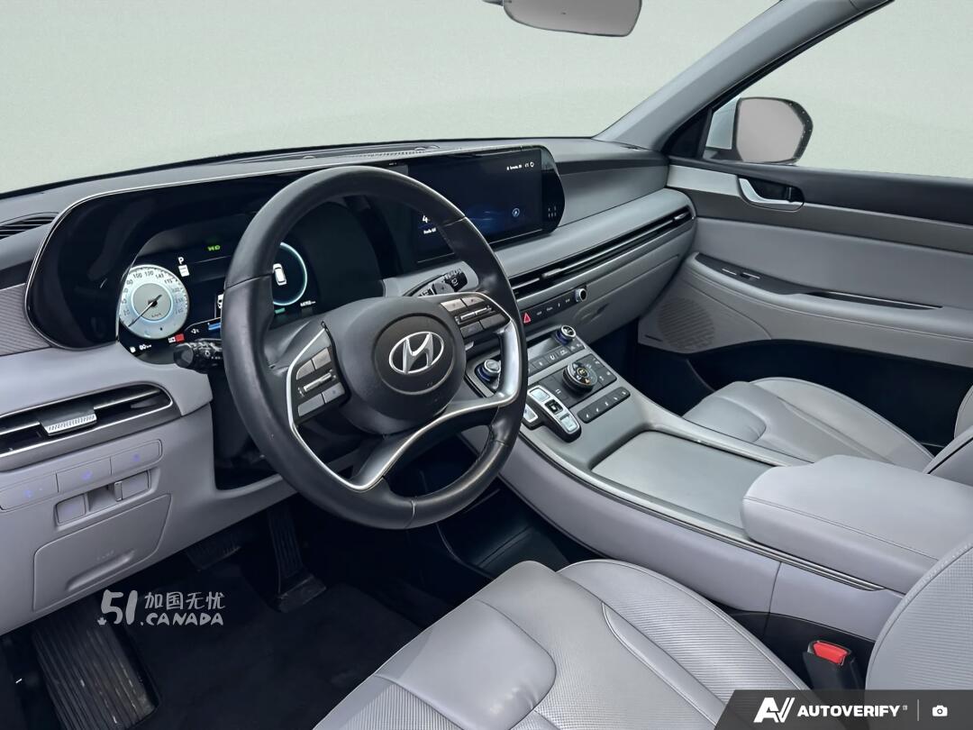 2024 Hyundai Palisade view 7