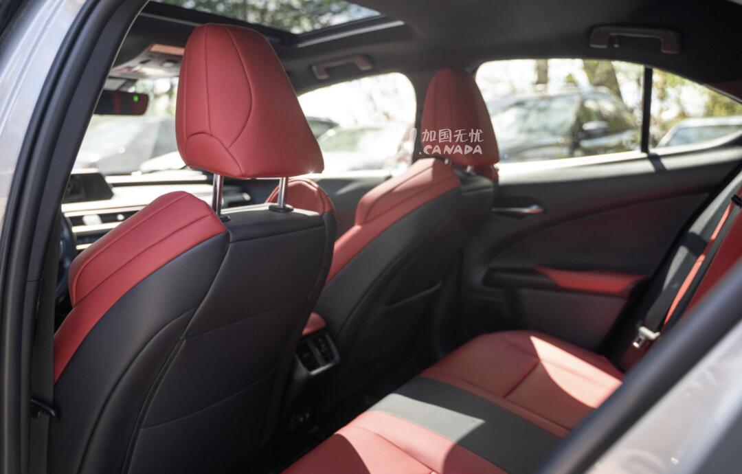 2020 Lexus UX view 6