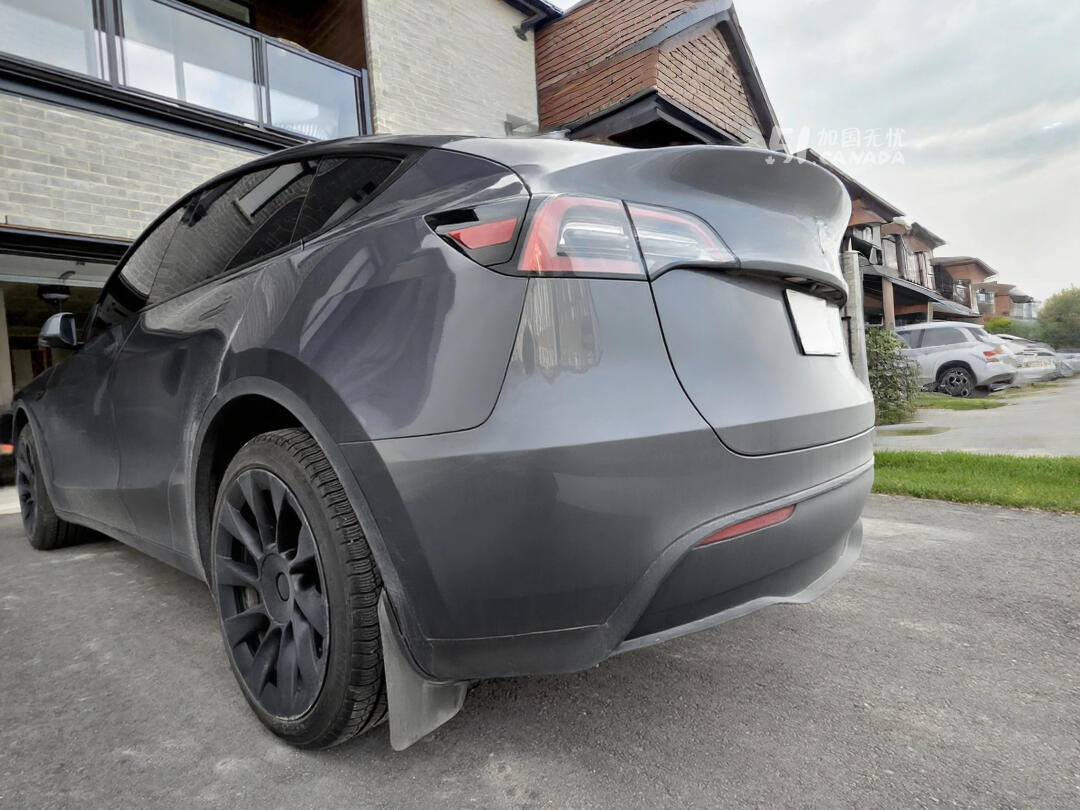 2023 Tesla Model Y view 6