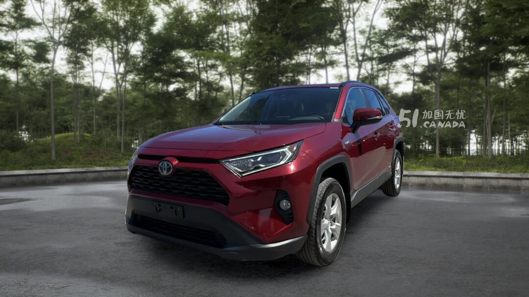 2020 Toyota RAV 4 view 2
