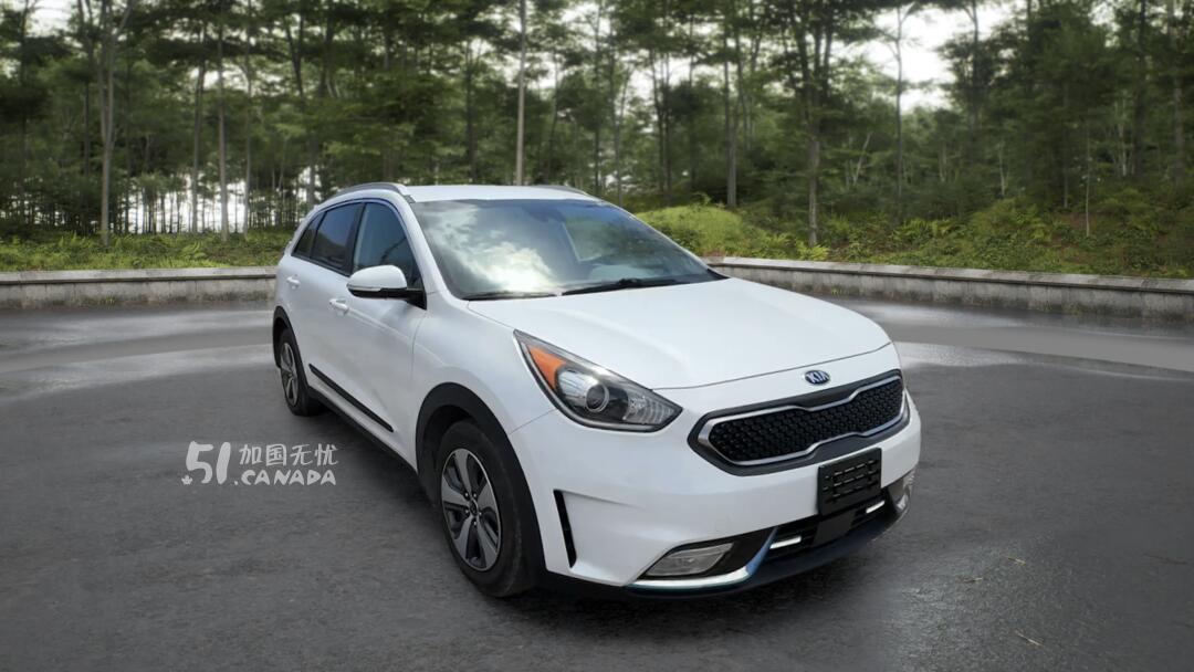 2019 Kia Niro view 2