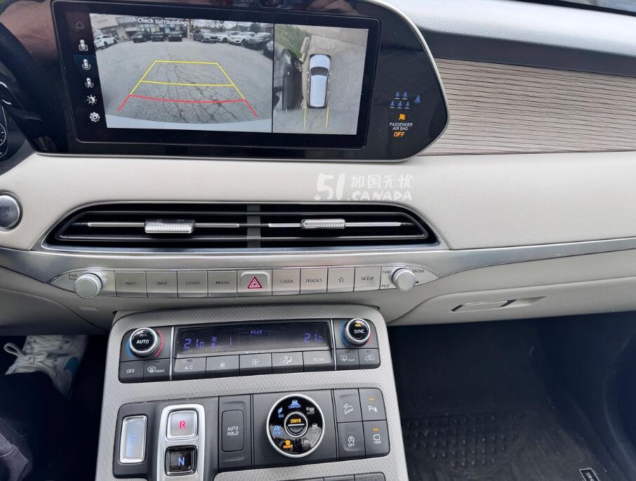 2022 Hyundai Palisade view 6