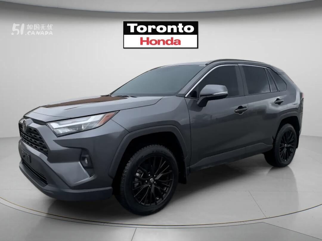 2025 Toyota RAV 4 view 1