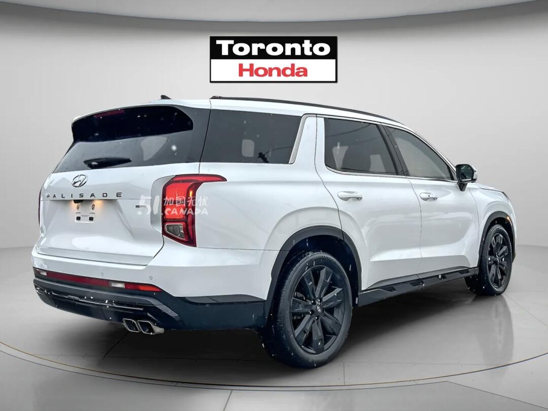 2024 Hyundai Palisade view 4