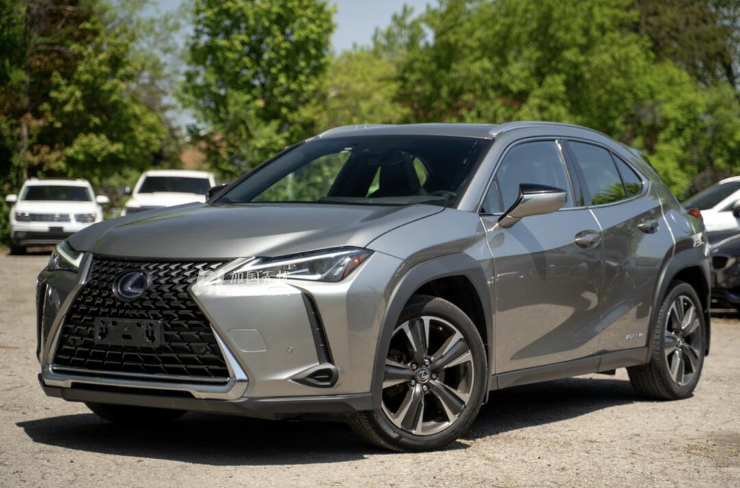 2019 Lexus UX view 5