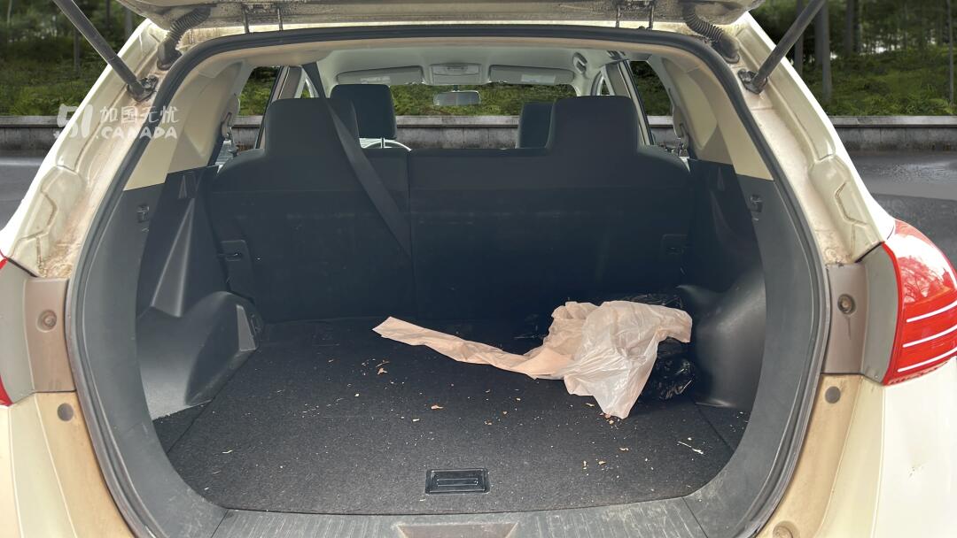 2010 Nissan Rogue view 9