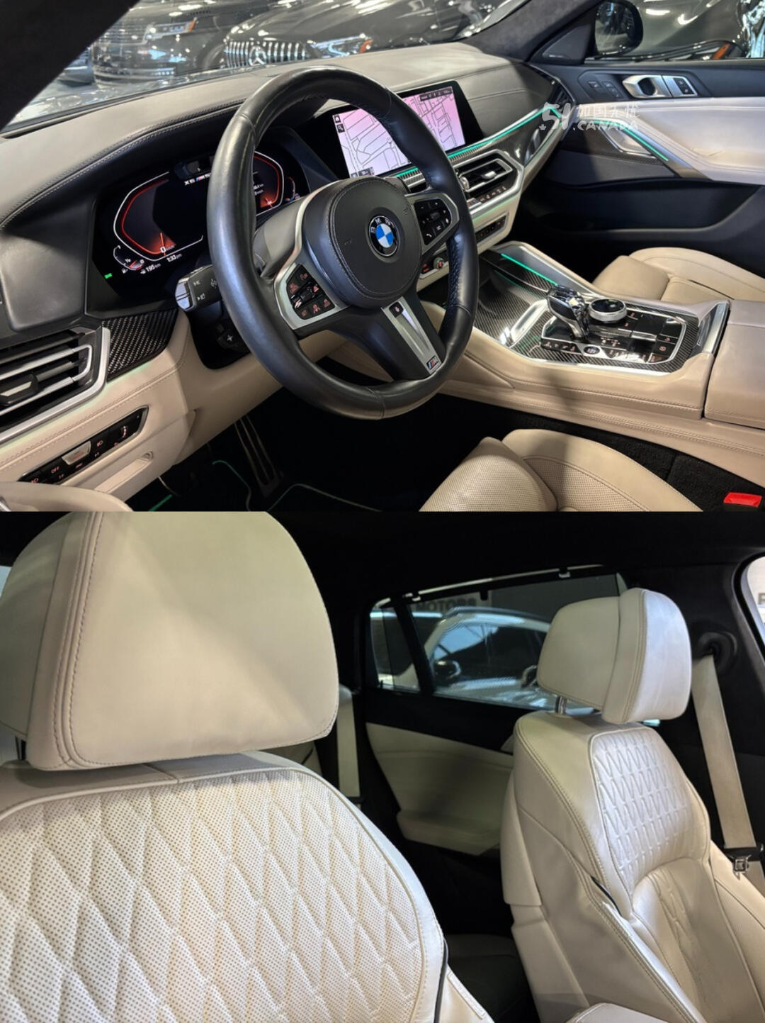 2020 BMW X6 view 10