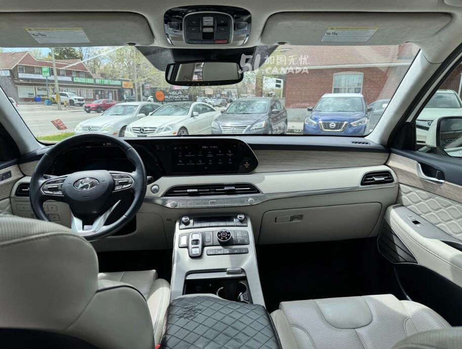 2022 Hyundai Palisade view 8