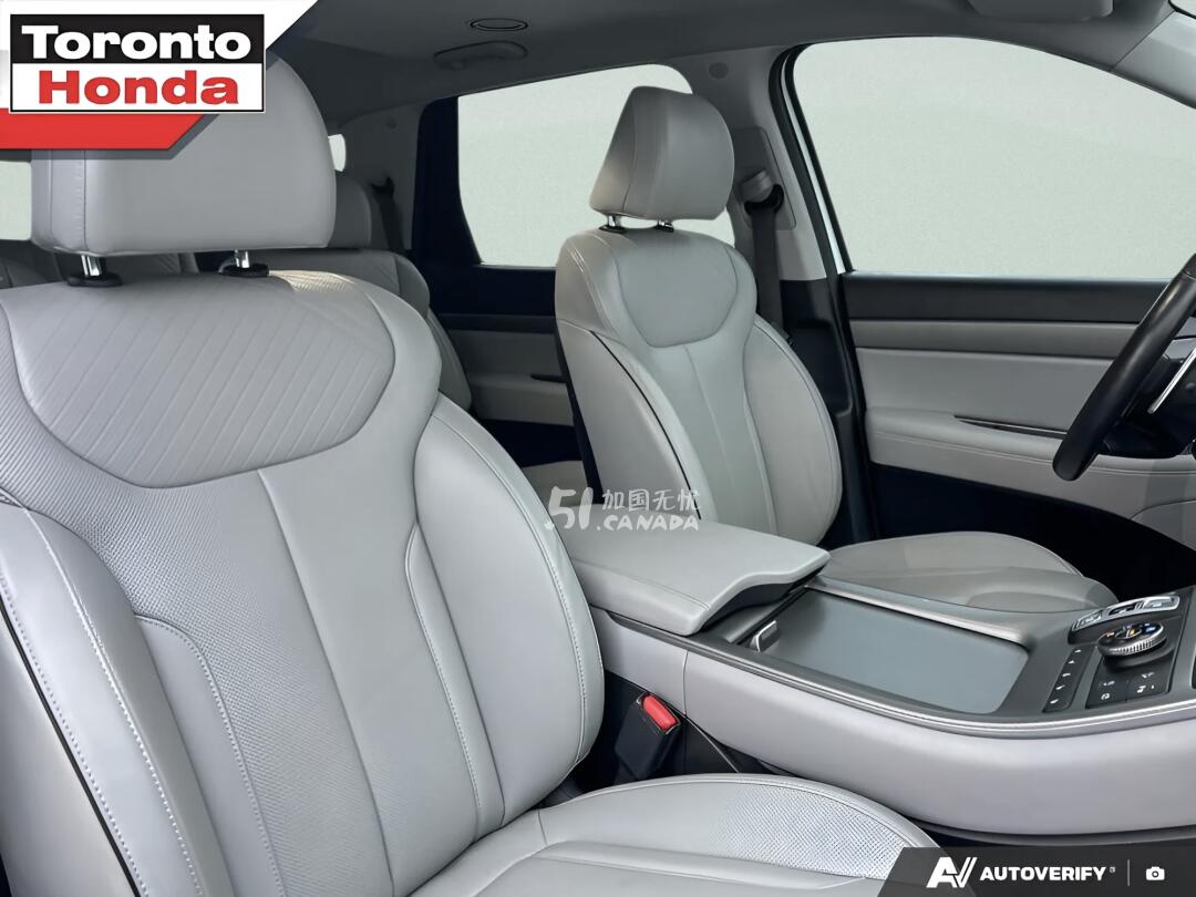 2024 Hyundai Palisade view 5