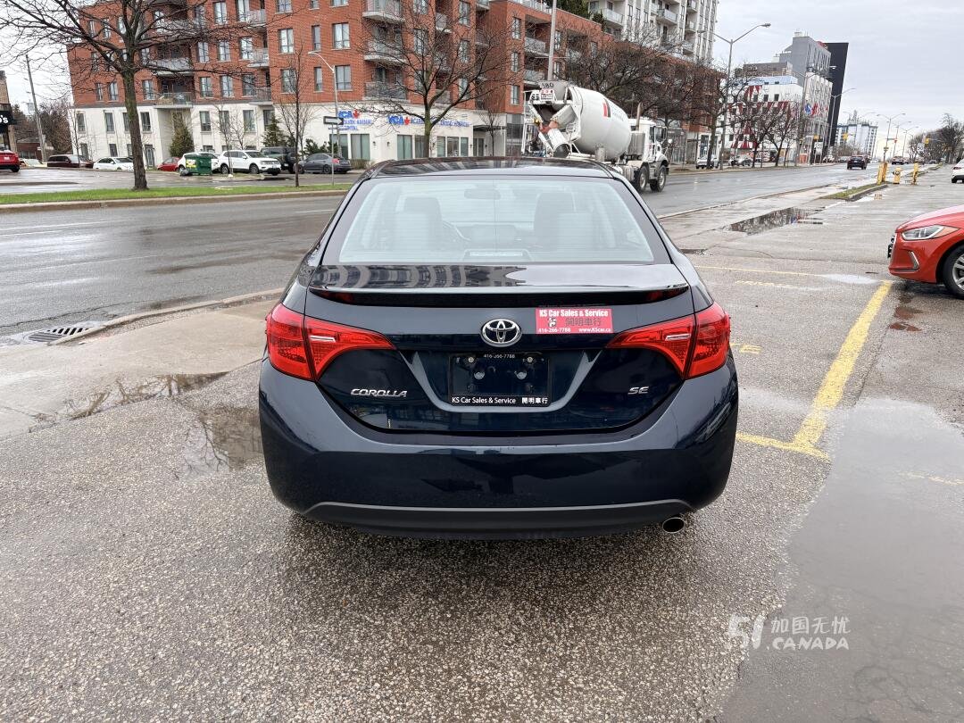2019 Toyota Corolla view 6