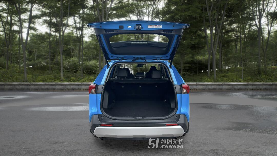 2019 Toyota RAV 4 view 8