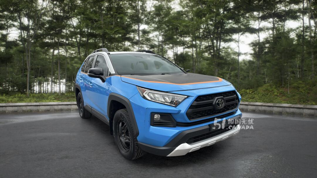 2019 Toyota RAV 4 view 2