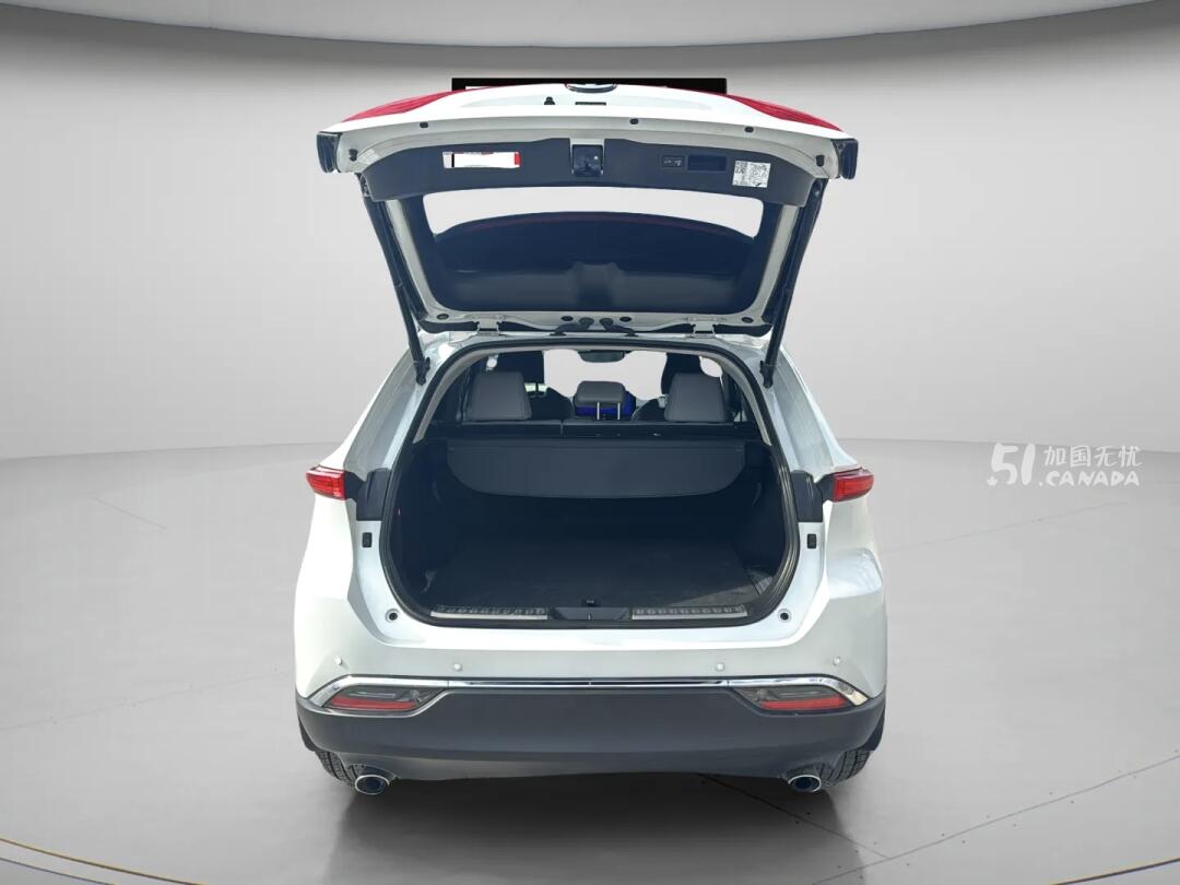 2023 Toyota Venza view 10