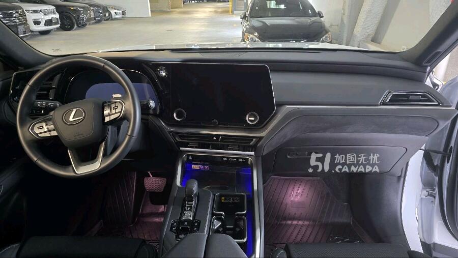 2025 Lexus Other view 9