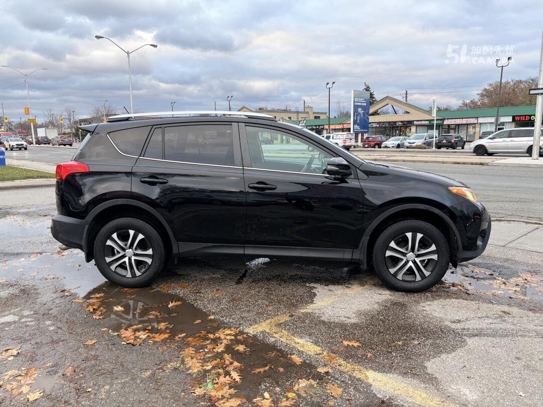 2015 Toyota RAV 4 view 4