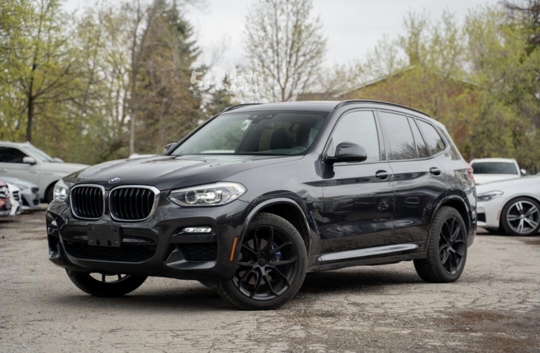 2020 BMW X3 view 6