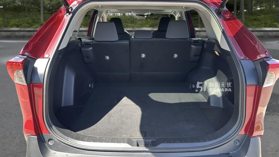 2020 Toyota RAV 4 view 8