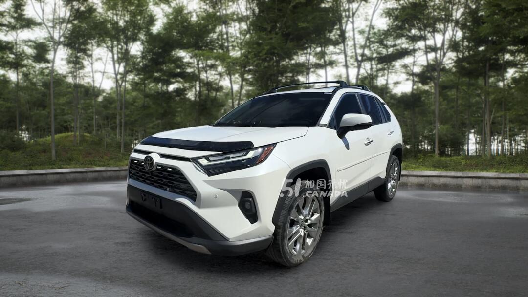 2022 Toyota RAV 4 view 2