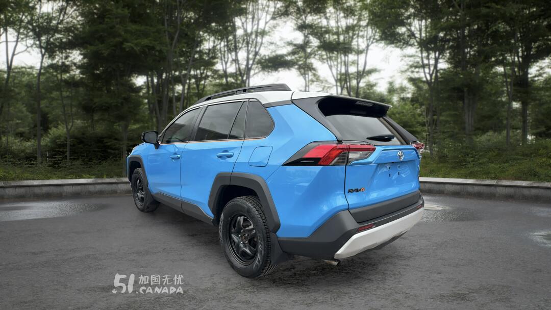 2019 Toyota RAV 4 view 4