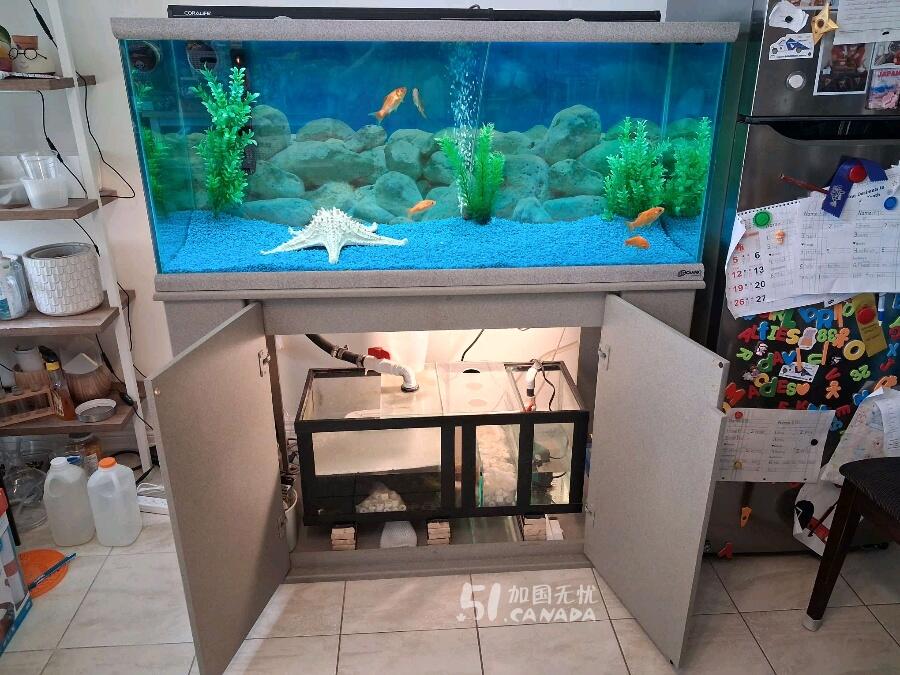 [集市好物]金魚缸
